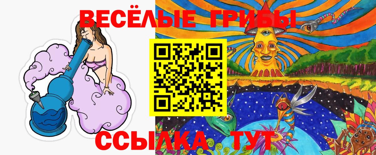 Рославль  Псилоцибиновые грибы прущие грибы  Вход с VPN 